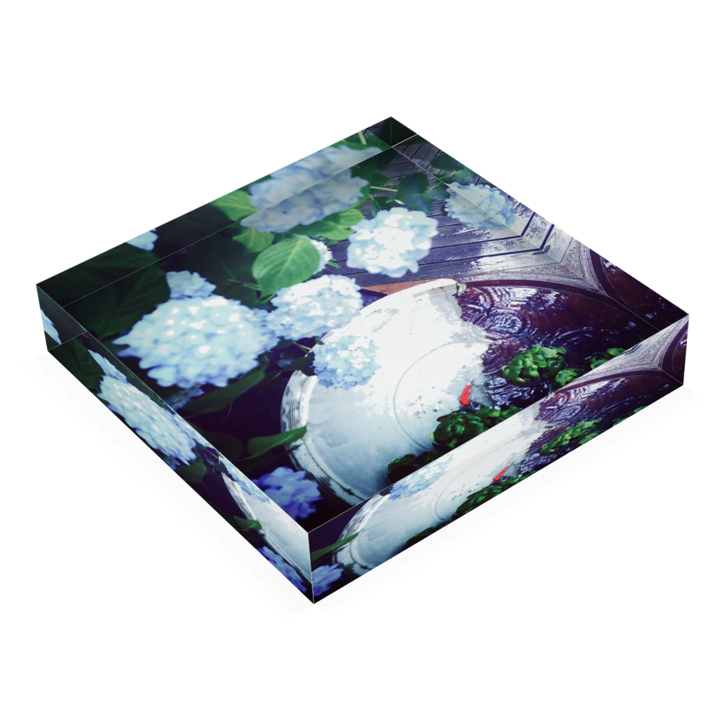 70🌷の紫陽花と金魚 Acrylic Block :placed flat