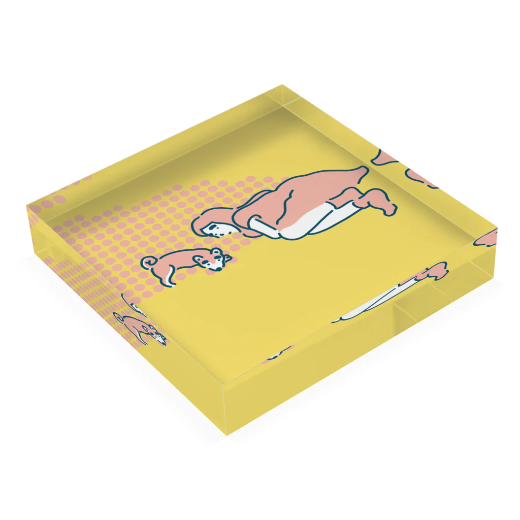 柴犬ポップライフ_眠る豆柴の柴犬ポップライフ Acrylic Block :placed flat