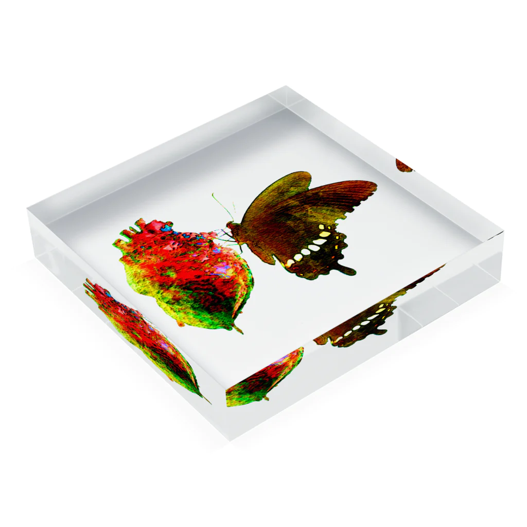 Sigma Brainkillerの「冥王」Art Works Acrylic Block :placed flat