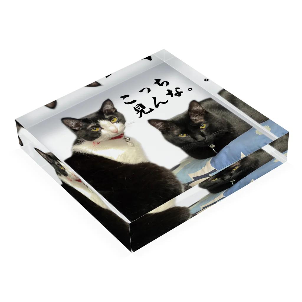 自由の猫　ねこ　neko Acrylic Block :placed flat