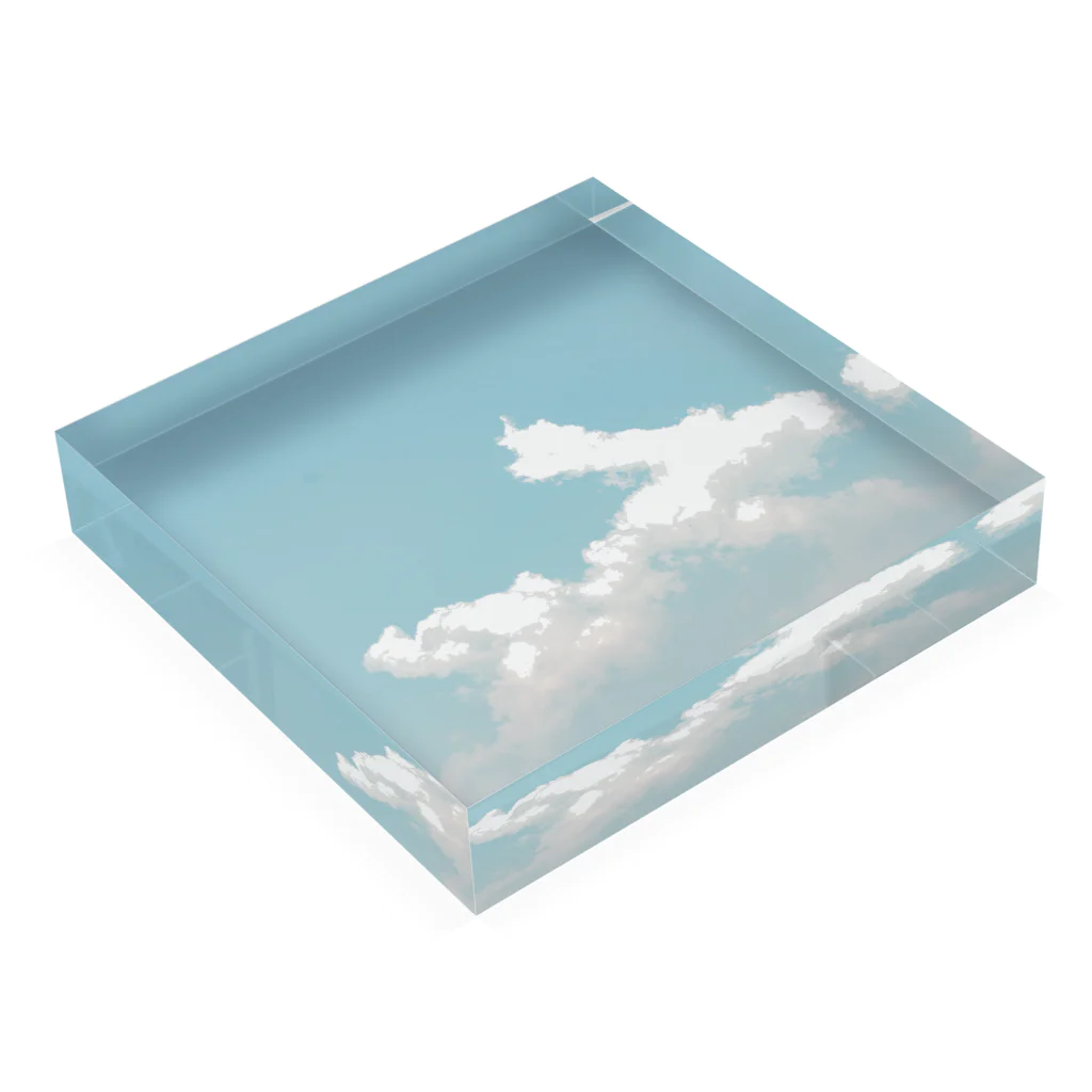 nature cubesのくも Acrylic Block :placed flat