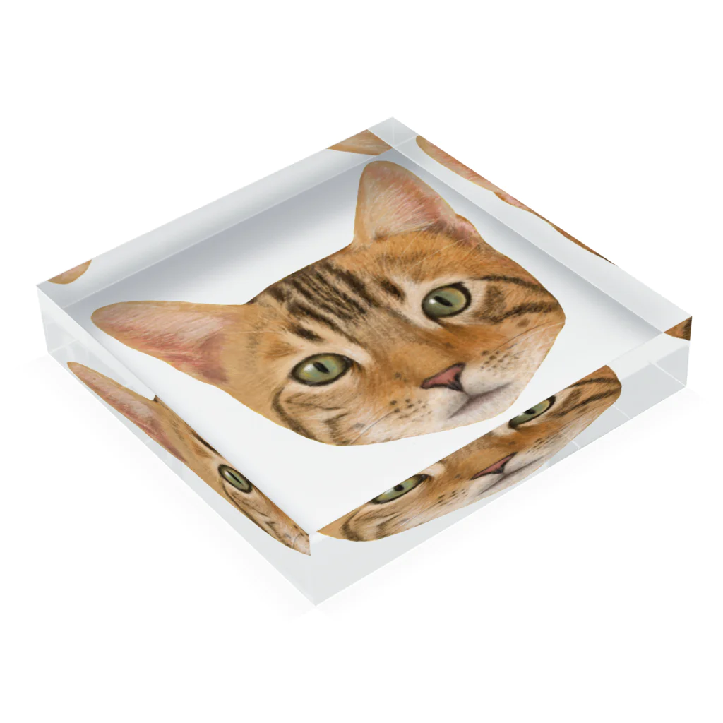 utouch_の猫【顔】 Acrylic Block :placed flat