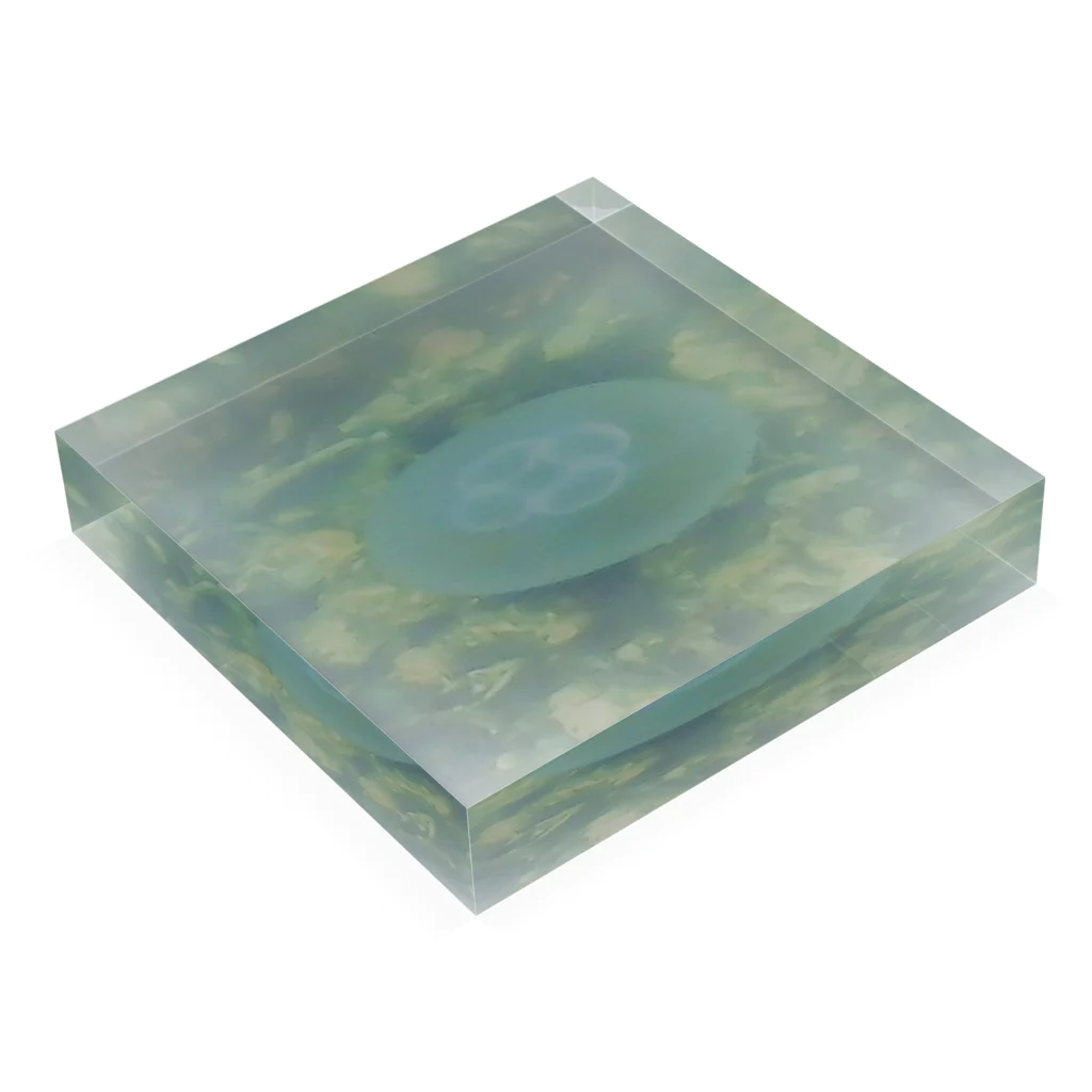 aomatuのミズクラゲ Acrylic Block :placed flat