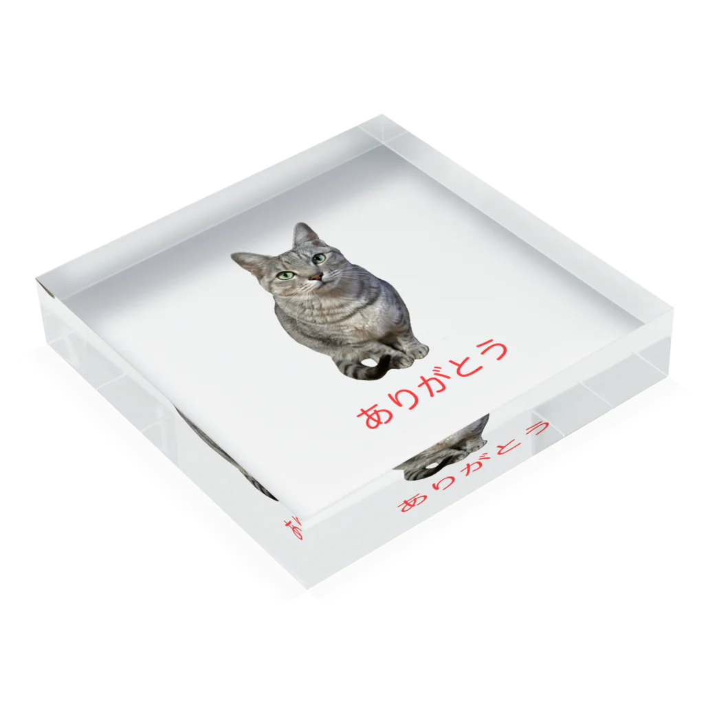 じんちょうげのサバのありがとう Acrylic Block :placed flat