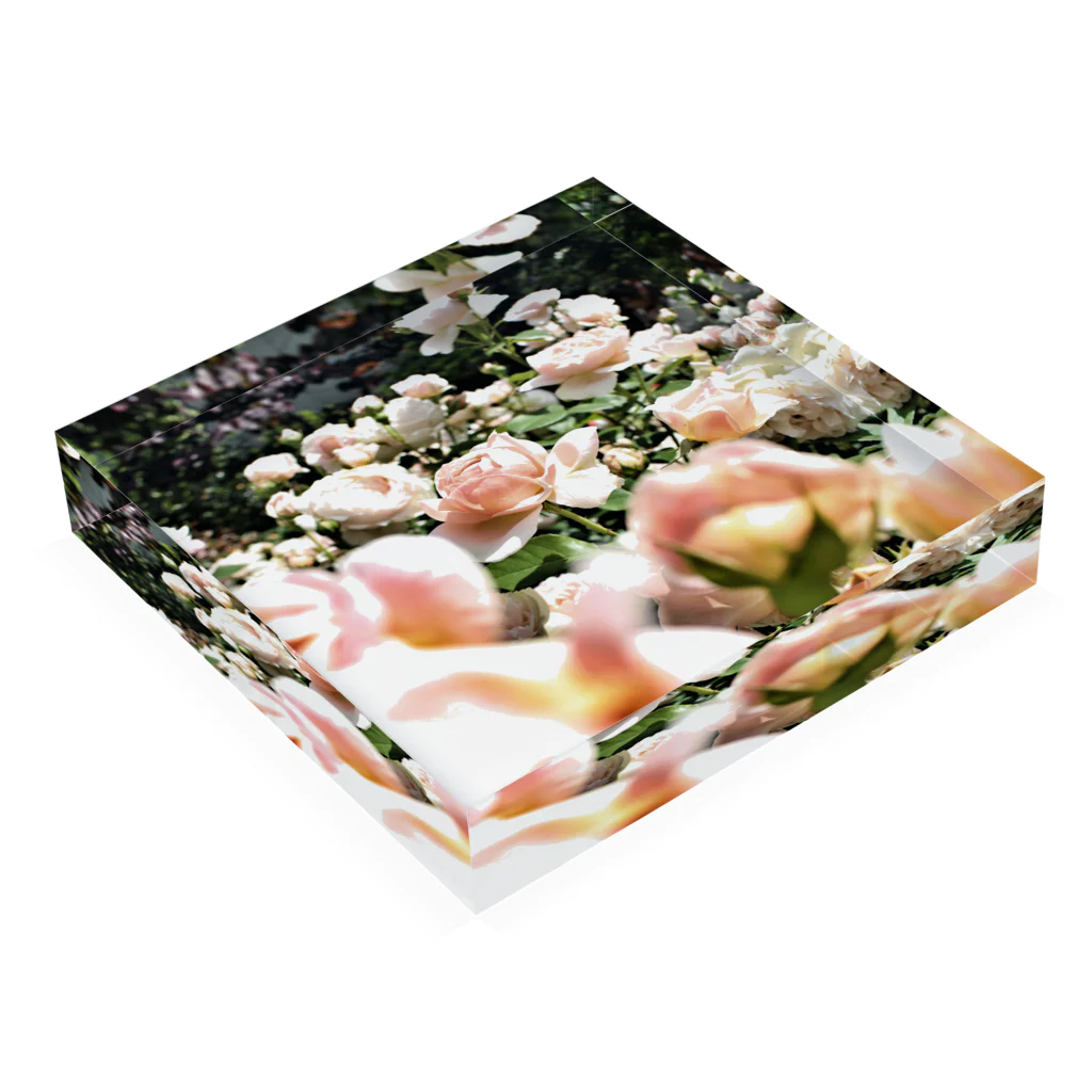 しゃしんのヴィンテージピンクの薔薇 Acrylic Block :placed flat