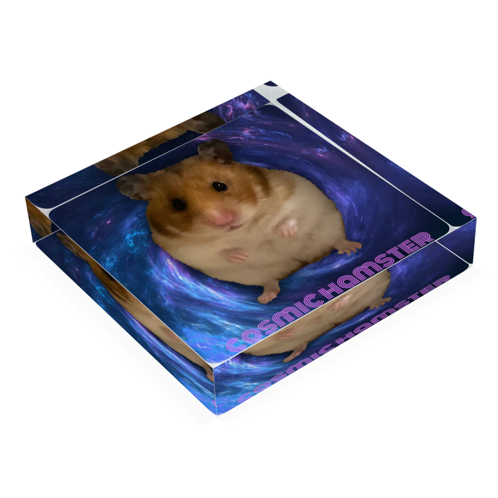 hamster republicのcsmic hamster アクリルブロックの平置き