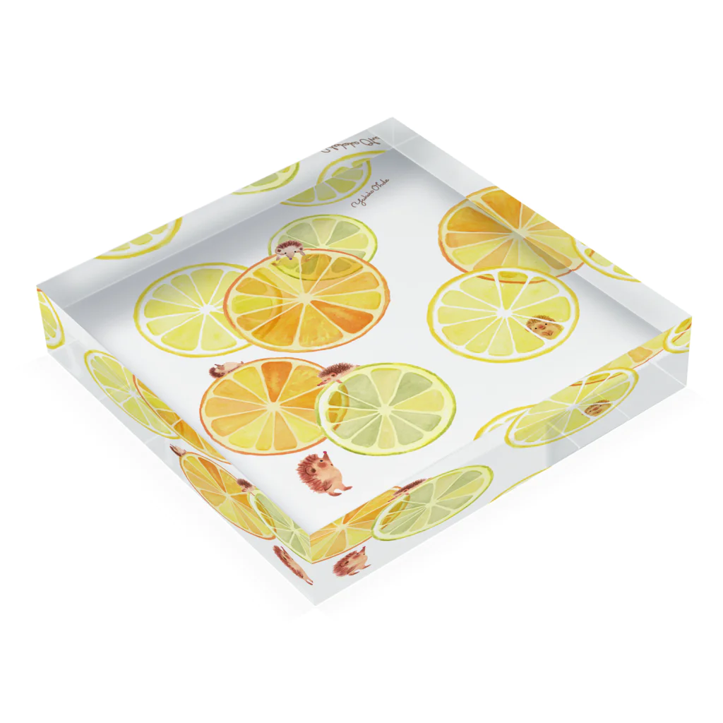 イラストレーター おおでゆかこのCitrus Acrylic Block :placed flat