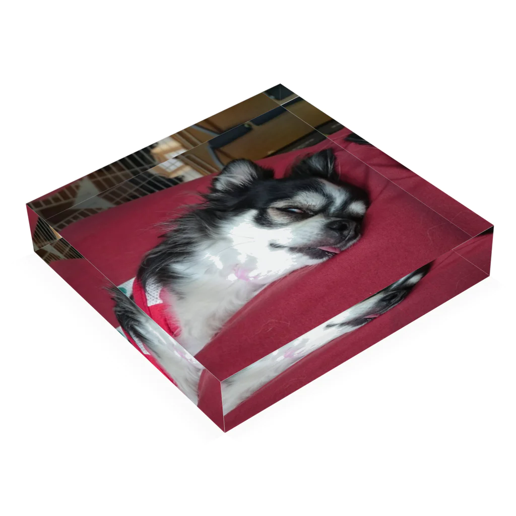 Stone wall islandの寝顔が怖いほうの犬 Acrylic Block :placed flat