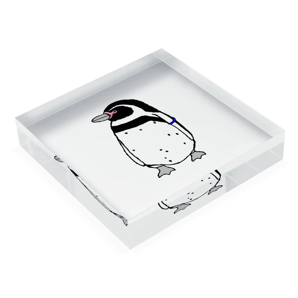 ゆるいペンギン屋のぼーっとフンボさん Acrylic Block :placed flat