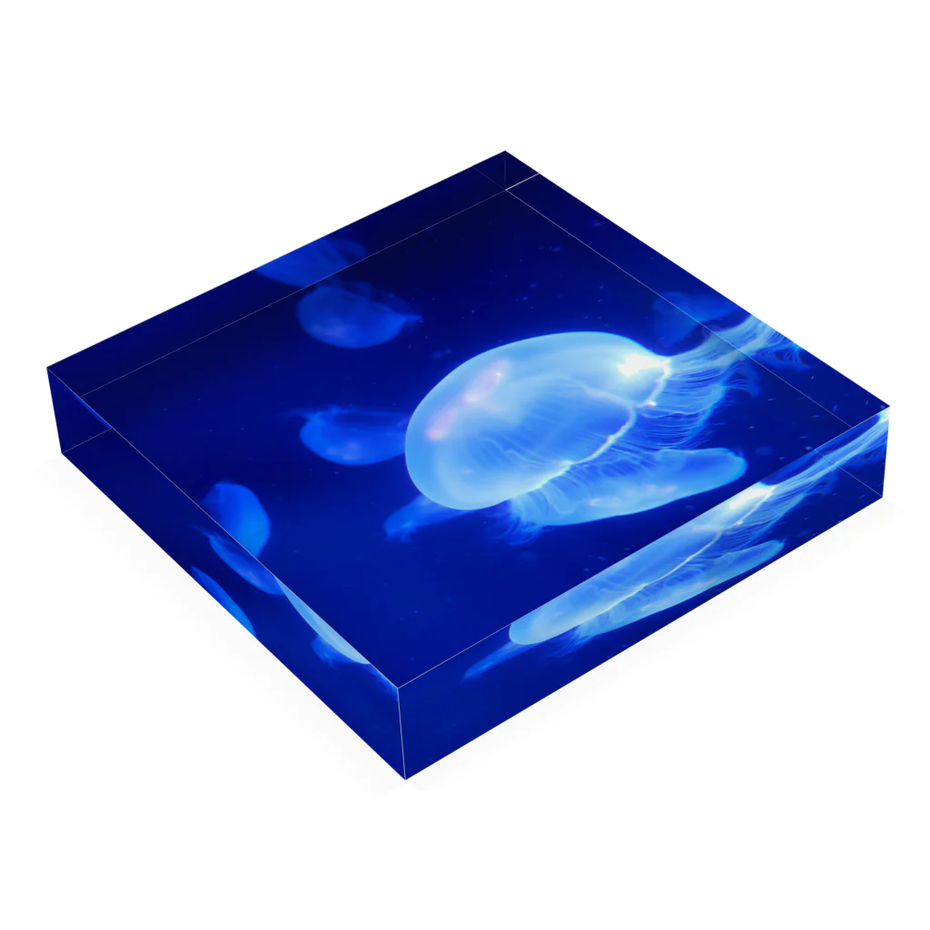 Renaのクラゲ　Jellyfish Acrylic Block :placed flat