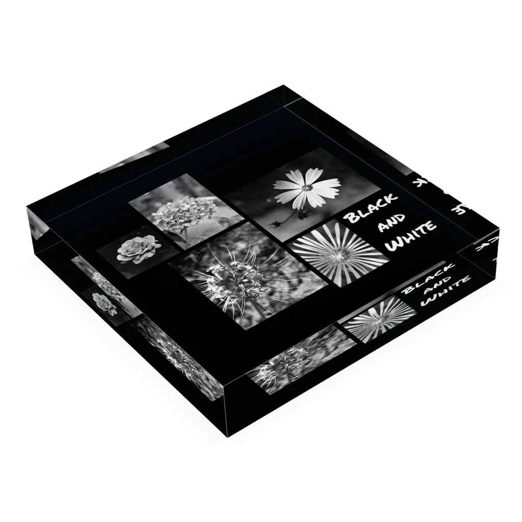 FILM CANERA FANのBlack and White Flowers アクリルブロックの平置き