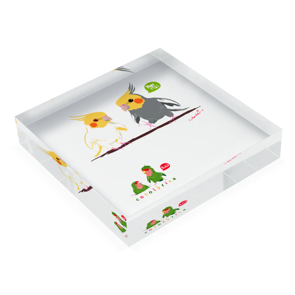 LittleLoroのどノーマルオカメインコとルチノーちょいわき 0350 Acrylic Block :placed flat