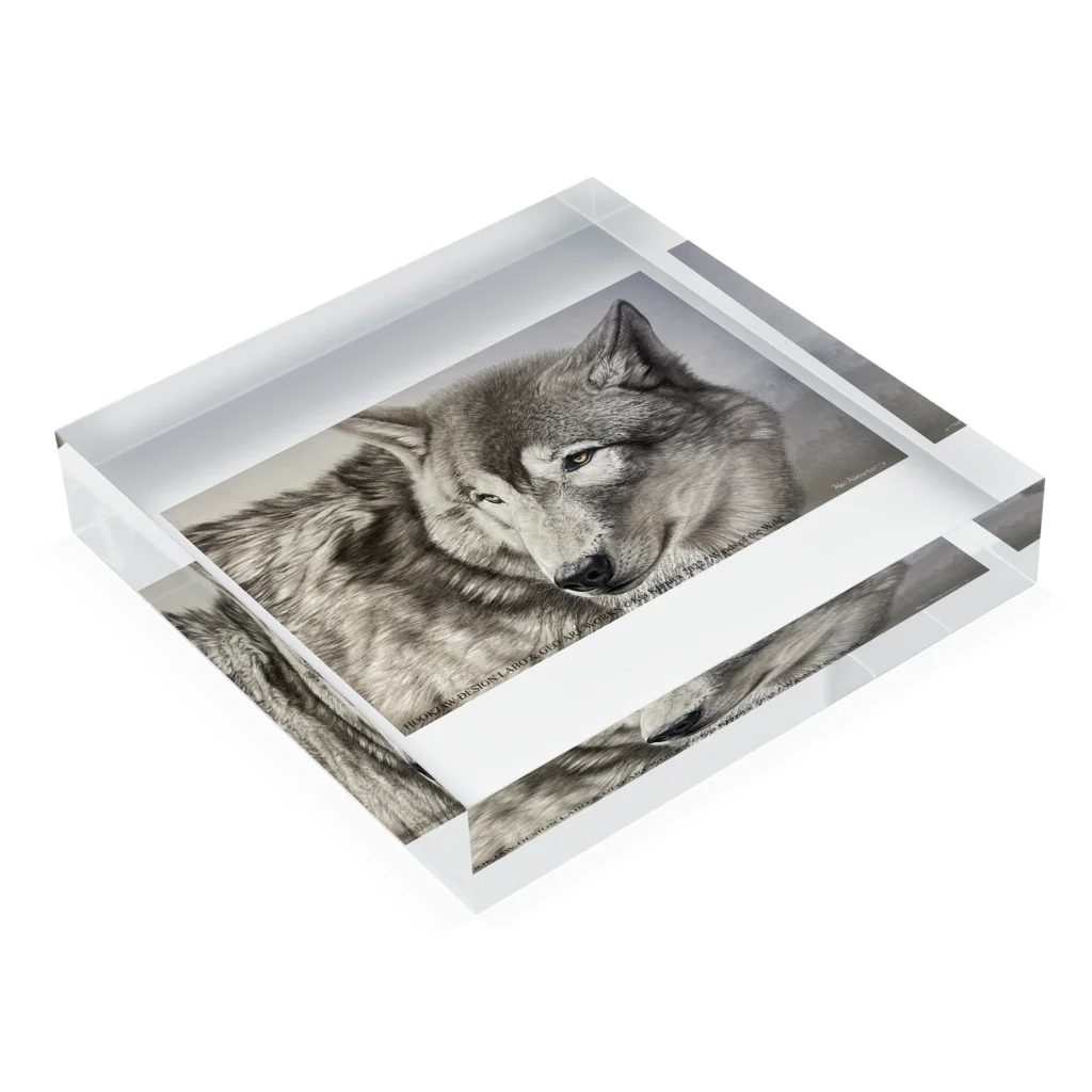 アラスカ野生動物画家きむらけいのWinds of the Wild Acrylic Block :placed flat