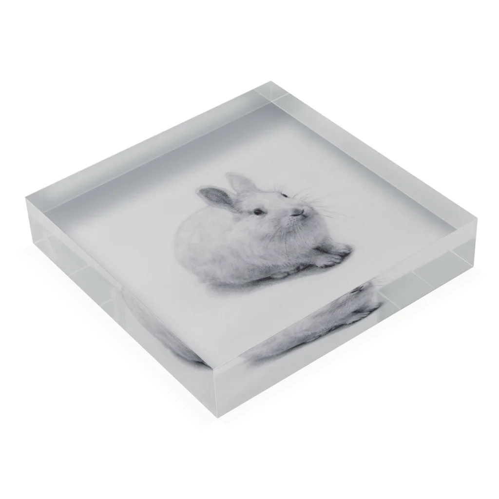 百の透明ウサギ（gray） Acrylic Block :placed flat