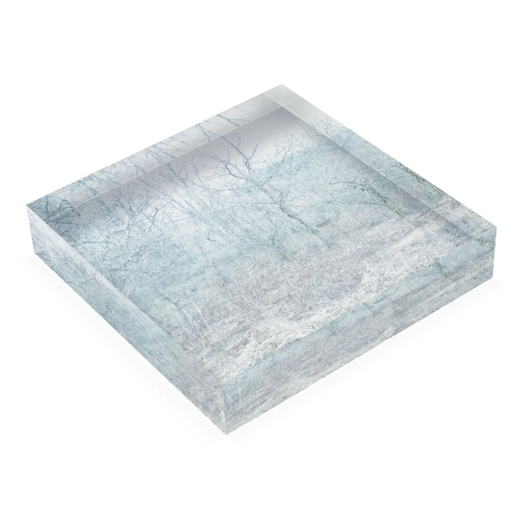 akikonakanoのwhite forest Acrylic Block :placed flat