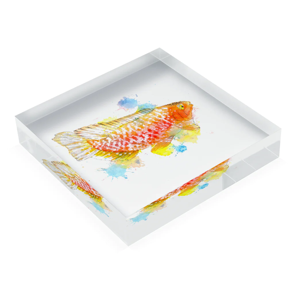 SIZUKUのオレンジの魚 Acrylic Block :placed flat