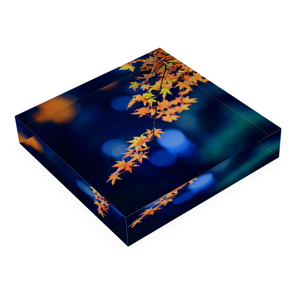 M.F.Photoの紅葉 Acrylic Block :placed flat