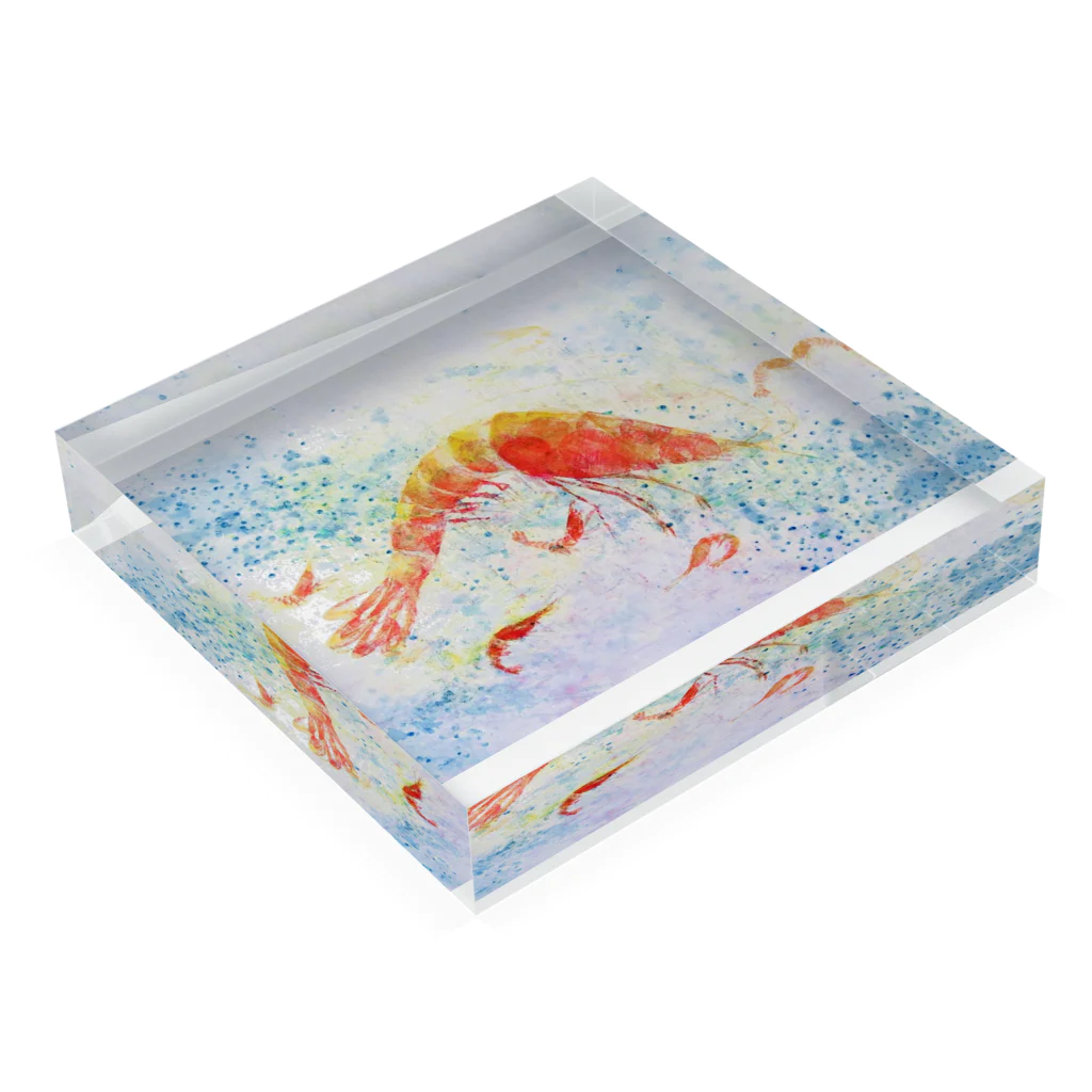 鳩子のらんらんshrimp Acrylic Block :placed flat