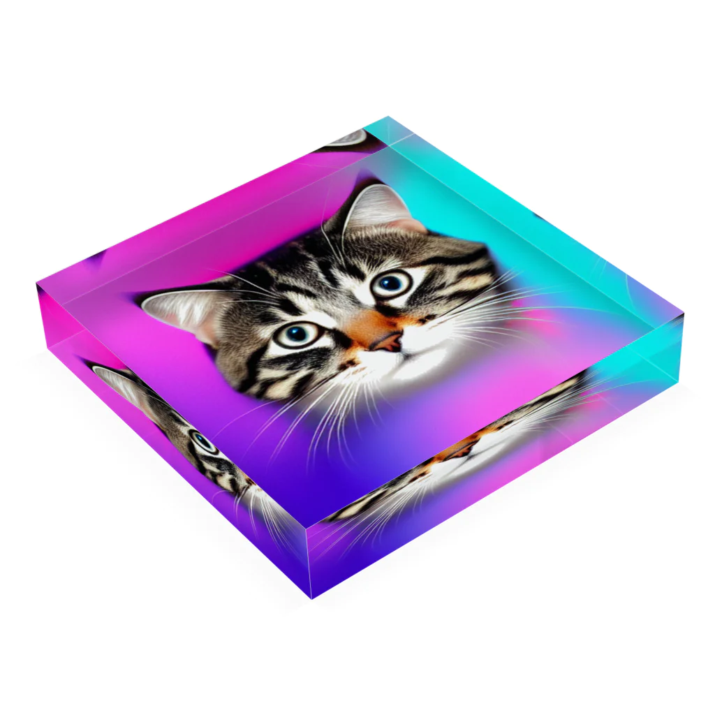 popart_catsのpopcat_justice Acrylic Block :placed flat