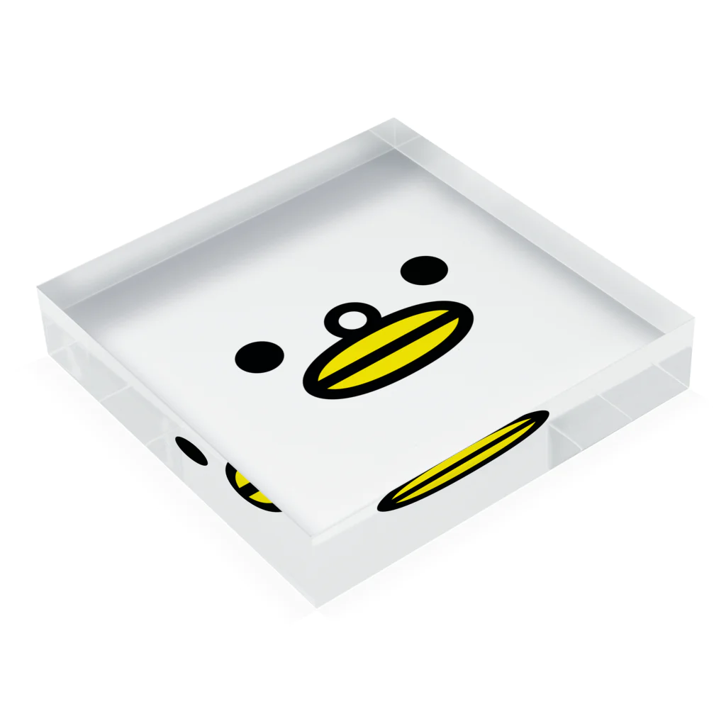 PITTEN PRODUCTSのFace Series 101N Acrylic Block :placed flat