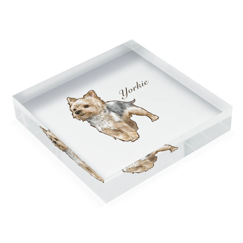 ヨークシャテリア ヨーキー イラストグッズ Acrylic Block by