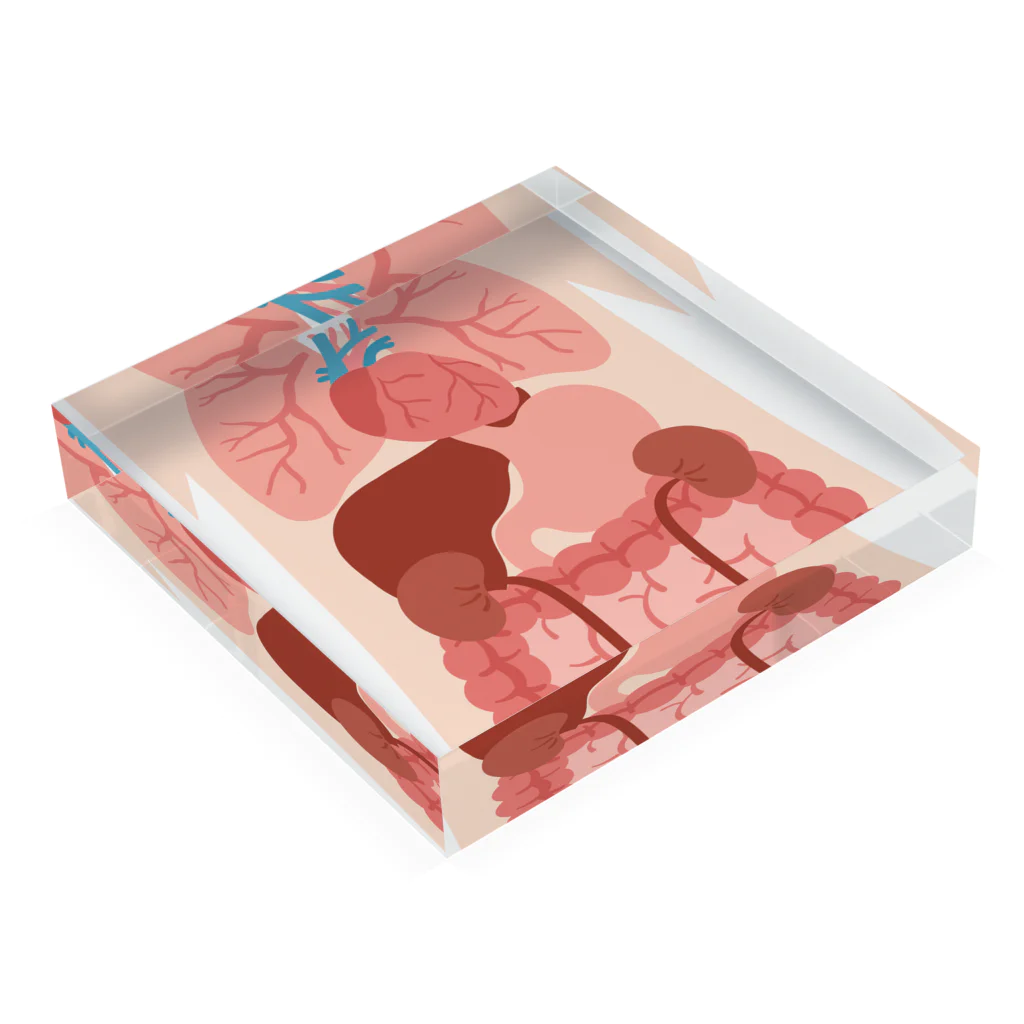 Art-soulのIn the body Acrylic Block :placed flat