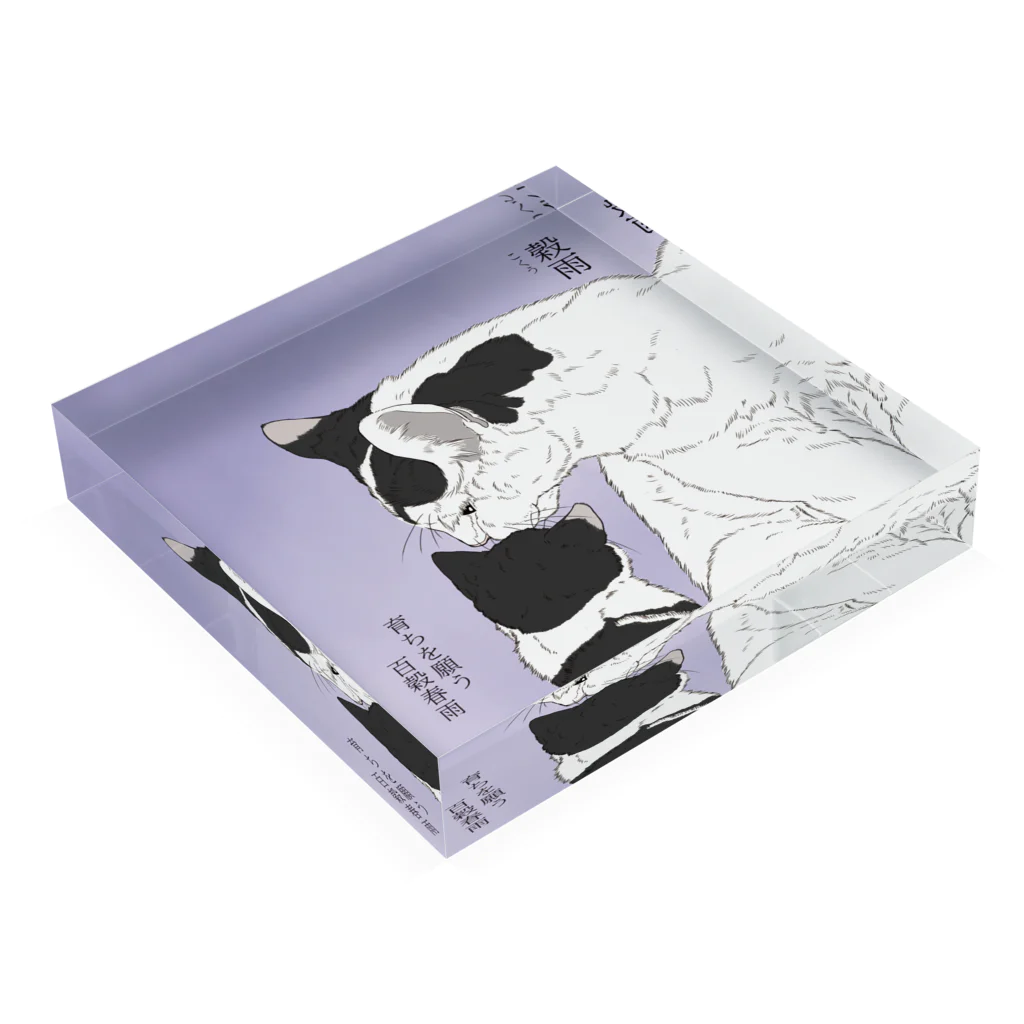 猪猫の穀雨　雨宿りなハチワレ母仔猫 Acrylic Block :placed flat