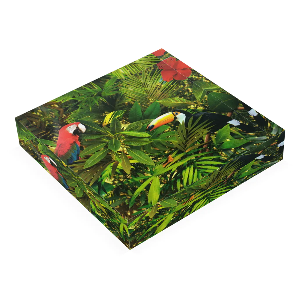 wuwのジャングル Acrylic Block :placed flat