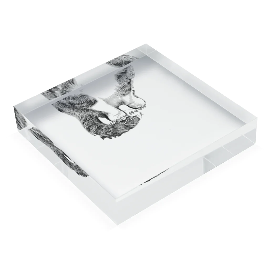 HIDDEN MOON-ARIAKEの16 Acrylic Block :placed flat