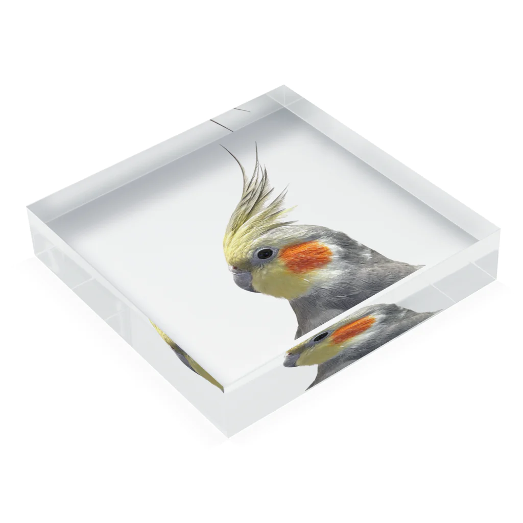 オカメ日記chのオカメインコのグッズ Acrylic Block :placed flat