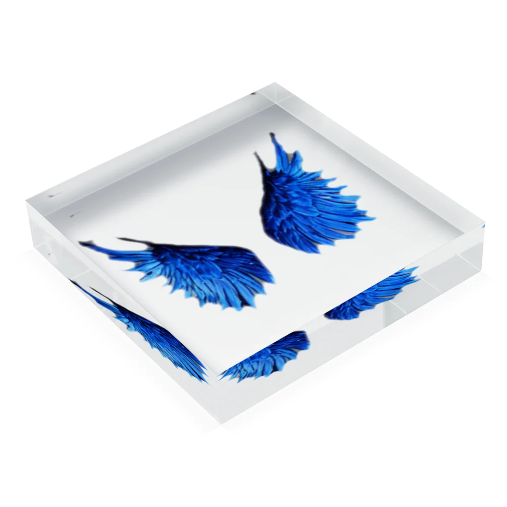 hu-riの葵はねで飛んでみよう Acrylic Block :placed flat