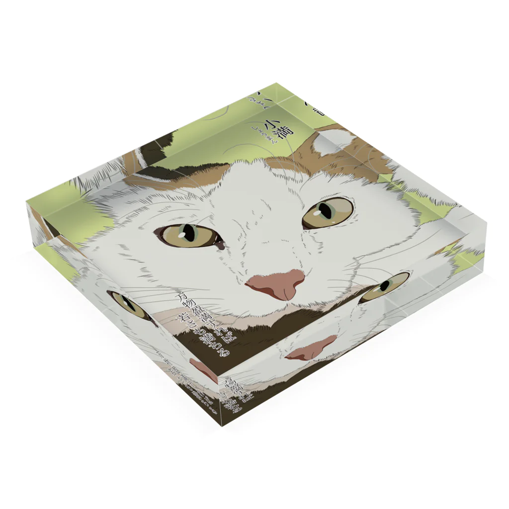 猪猫の小満　お顔アップの三毛猫 Acrylic Block :placed flat