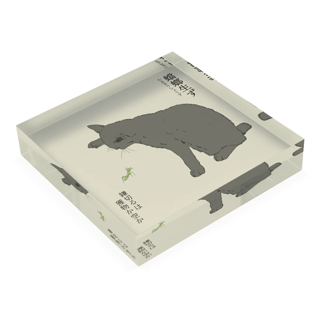 猪猫の蟷螂生ず　猫パンチしたい灰色猫 Acrylic Block :placed flat
