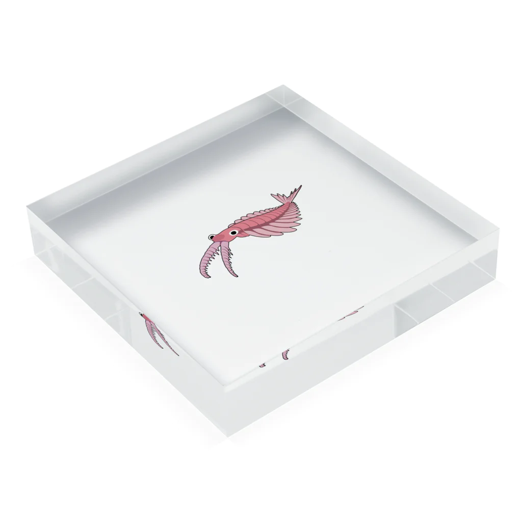 puikkoの古生物　アノマロカリス2 Acrylic Block :placed flat