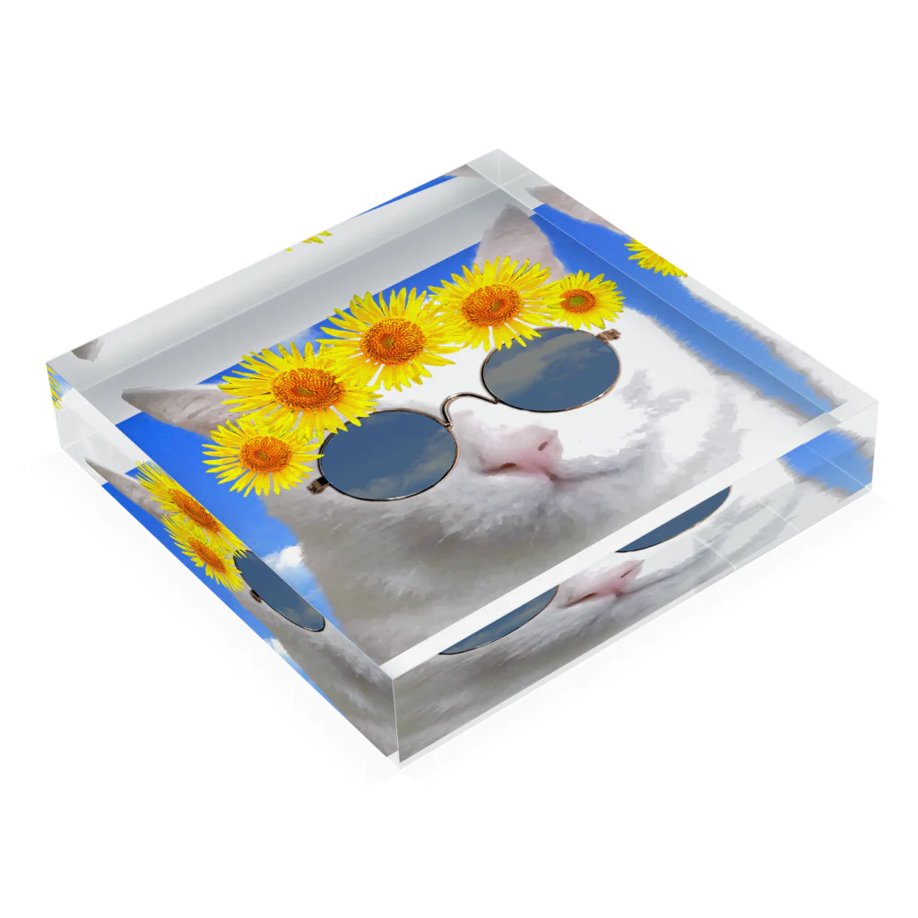 mechaの夏を満喫する猫 Acrylic Block :placed flat