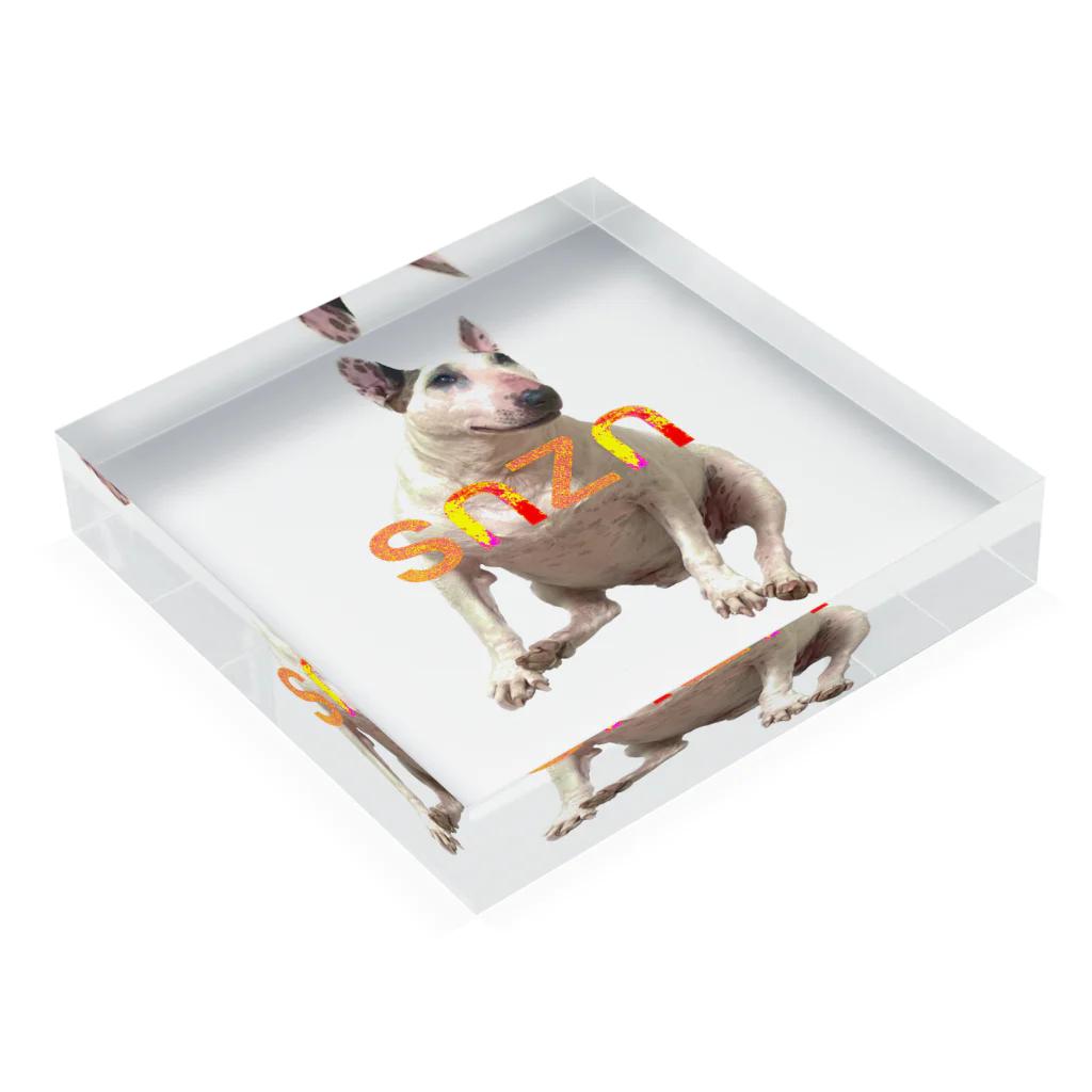 snznのsnzn_BullTerrier Acrylic Block :placed flat