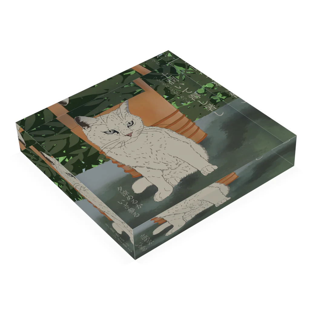 猪猫の土潤いて溽し暑し　打ち水を心待ちにする白猫 Acrylic Block :placed flat