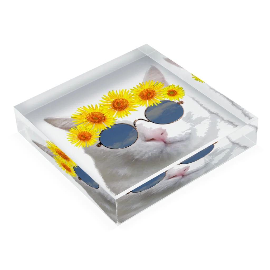 mechaの夏を満喫する猫　背景無し Acrylic Block :placed flat