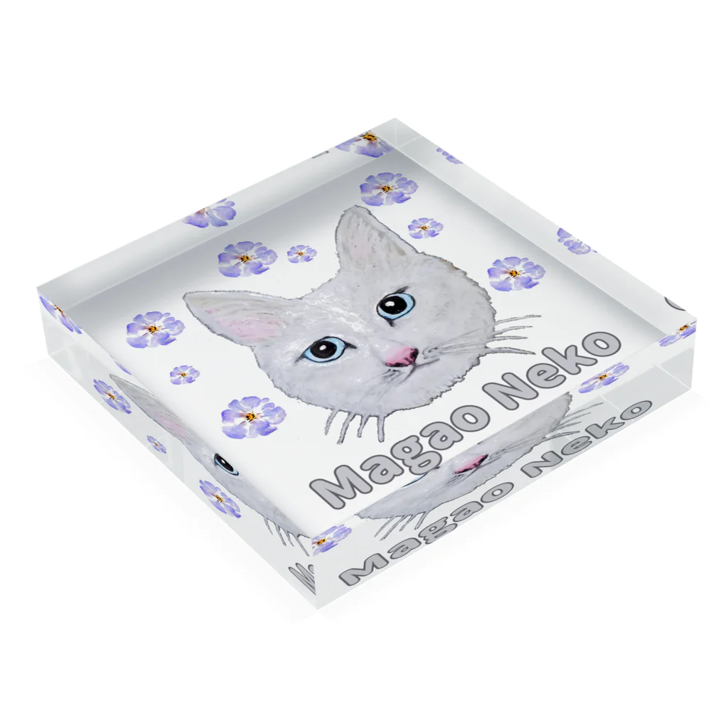 れいにゃん堂&れいにゃあ～と😺のチョークアートの白猫[Magao Neko] Acrylic Block :placed flat