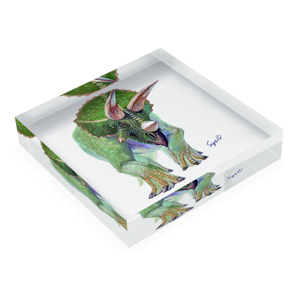 segasworksのTriceratops Acrylic Block :placed flat