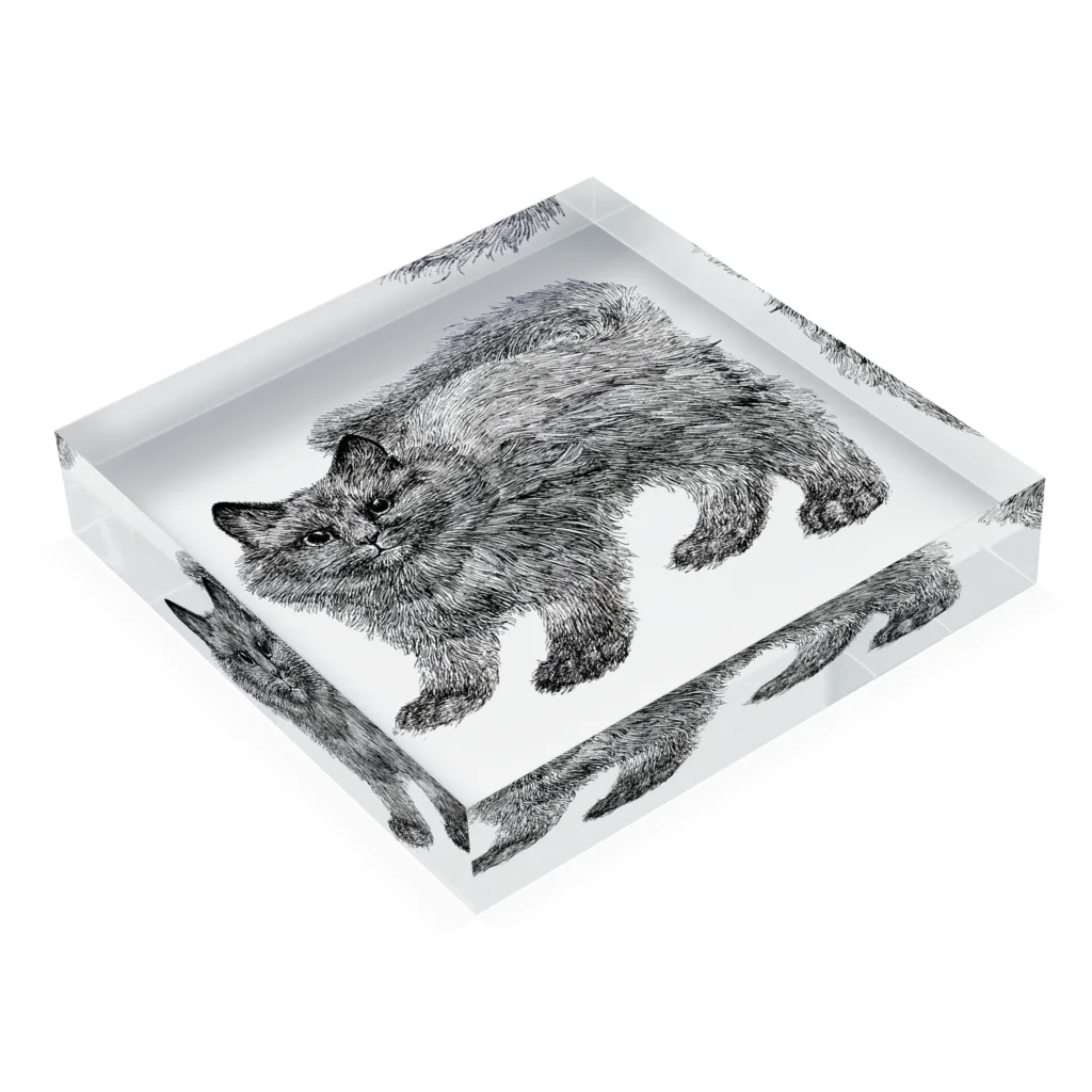 segasworksのふわふわの仔猫 Acrylic Block :placed flat