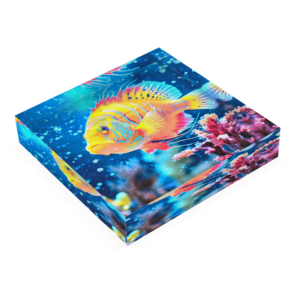 Erika_ArtistryのTropical Fish Collecting #04 Acrylic Block :placed flat