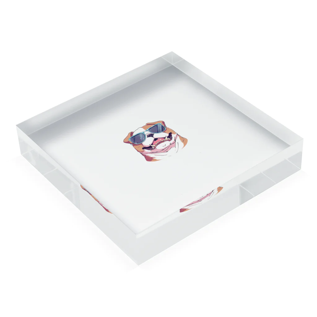 K&Kのブルドックン Acrylic Block :placed flat