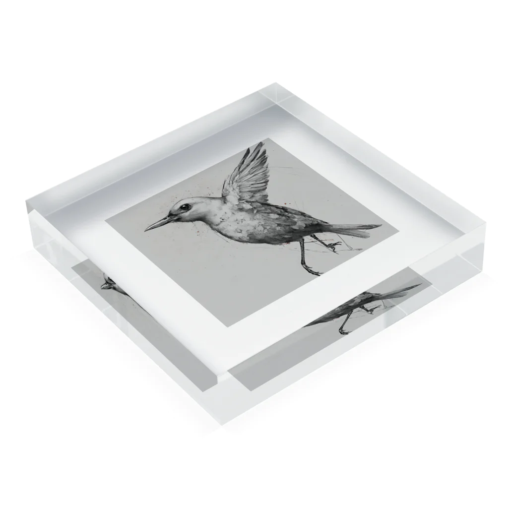 kezu-meの羽ばたく鳥 Acrylic Block :placed flat