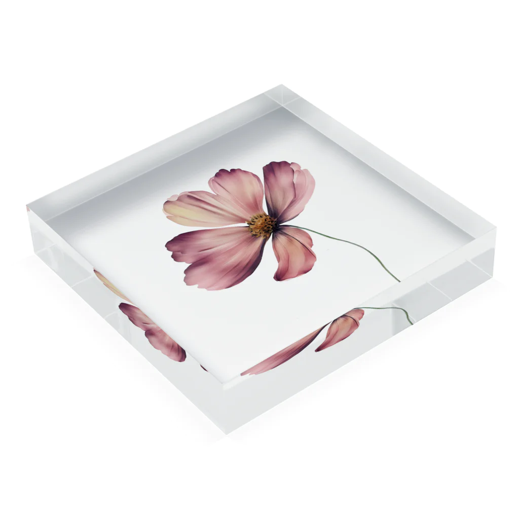 Atelier Petrichor Forestのコスモス Cosmos Acrylic Block :placed flat