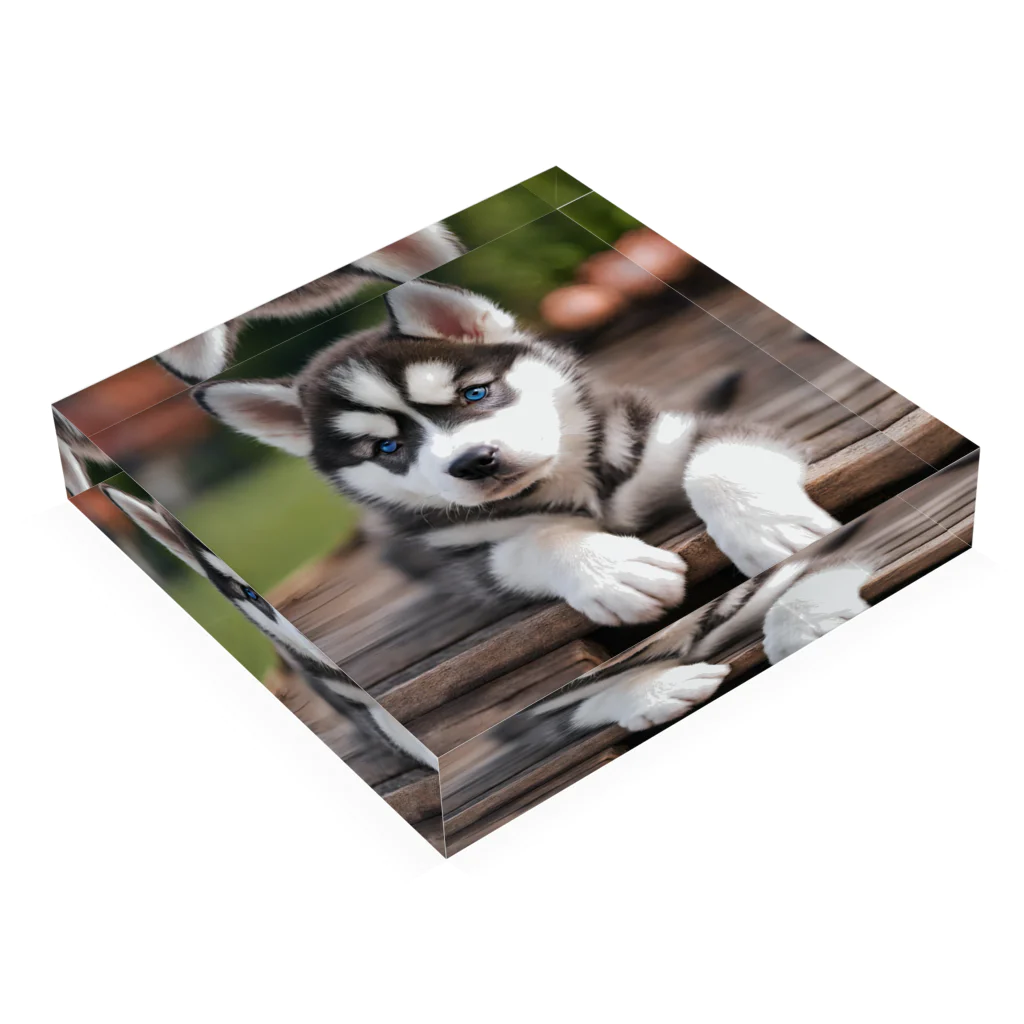 Kybeleのシベリアンハスキーの子犬のグッズ Acrylic Block :placed flat