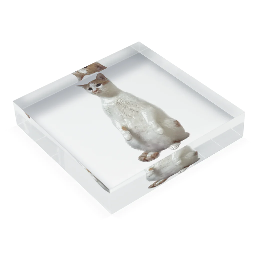 とらねこさんのねこのとらまるくん Acrylic Block :placed flat