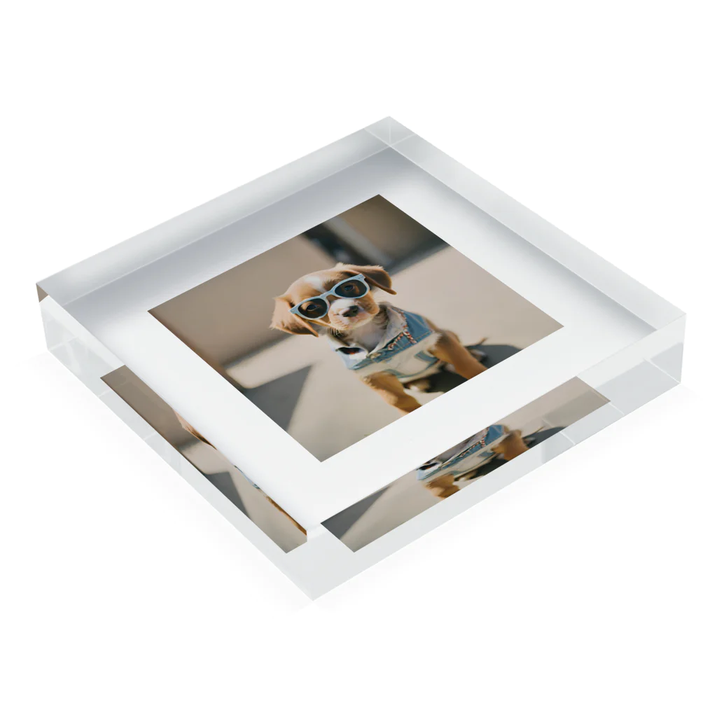 13261326のかっこつけの子犬のグッズ Acrylic Block :placed flat