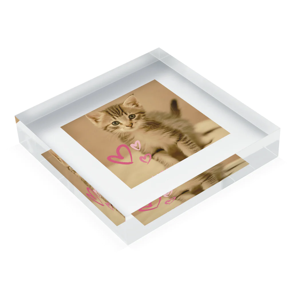 ❤︎cute❤︎のlove cat Acrylic Block :placed flat