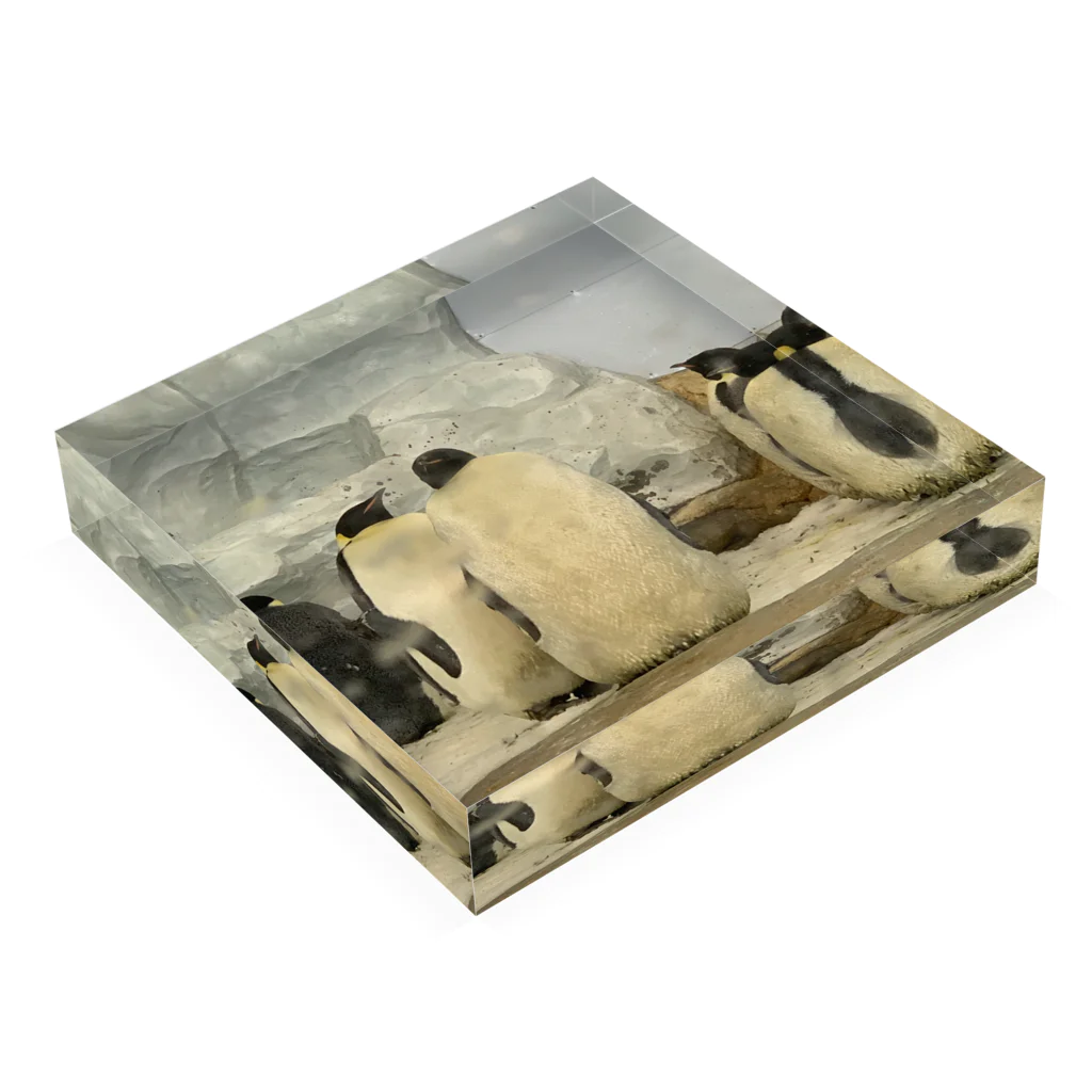 玉手箱のラブラブペンギン Acrylic Block :placed flat